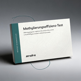 Methylierungseffizienz-Test