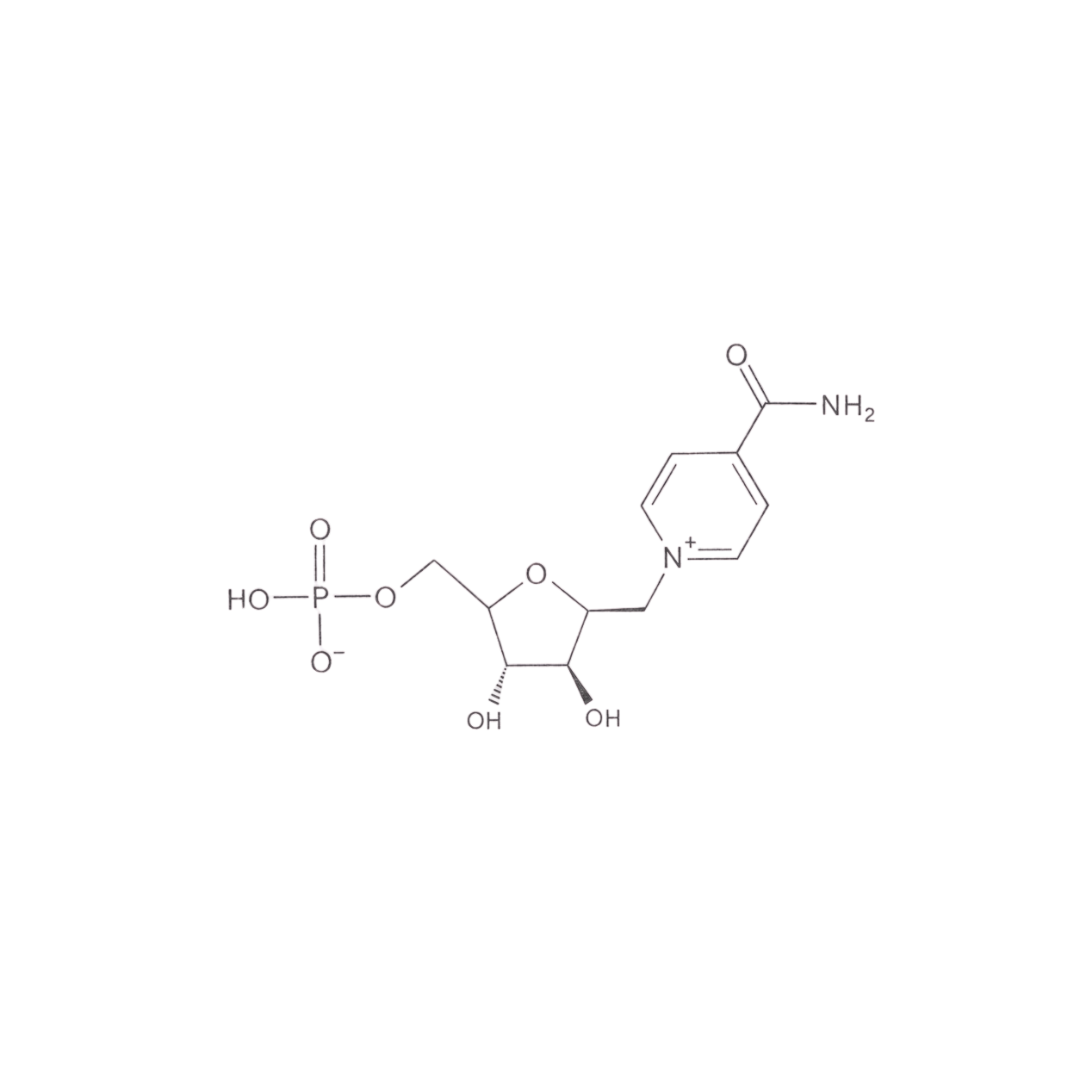 Bioaktives Vitamin‑B3‑Derivat und unmittelbarer Vorläufer von NAD⁺.