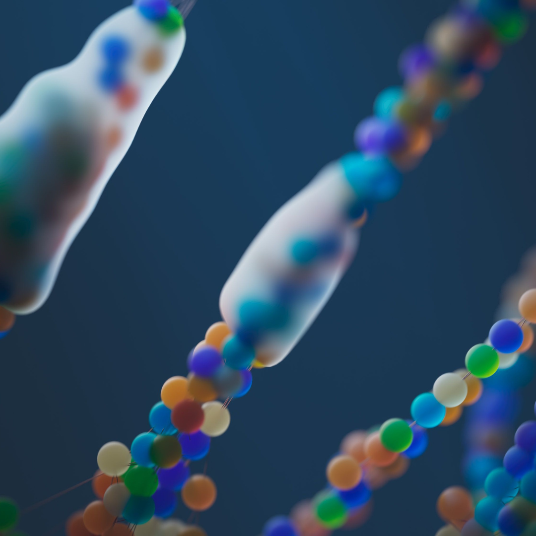 Telomerbiologie