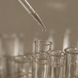 DNA-Tests